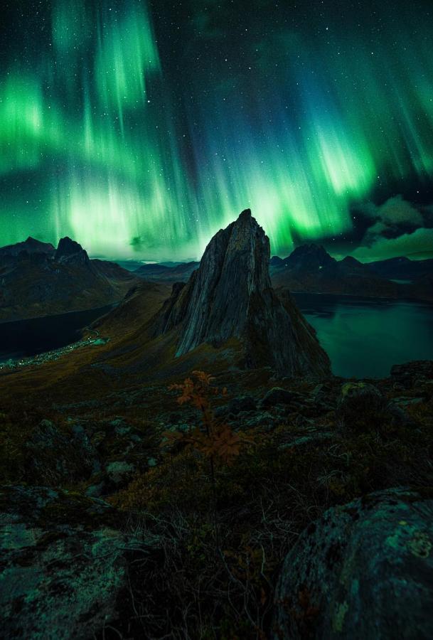 Polar Panorama Lodge Fjordgard Bagian luar foto